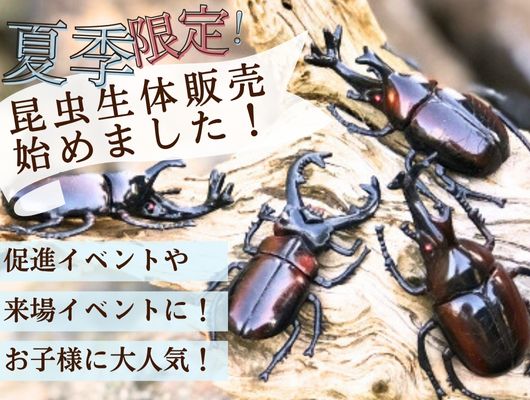 昆虫生体