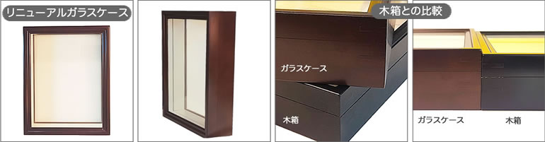 ベニモンオオキチョウ , 蝶の標本 販売・通販のNatureShop