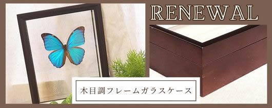 ガラスケース