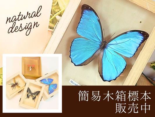 簡易木箱