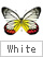 白い蝶を表示する