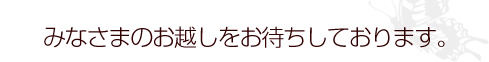 みなさまのお越しをお待ちしております。