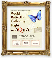 World Betterfly Gathering Night