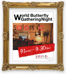 World Betterfly Gathering Night