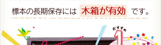 標本の長期保存には木箱が有効です