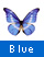青い蝶を表示する
