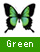 緑の蝶を表示する