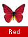 赤い蝶を表示する