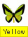 黄色の蝶を表示する