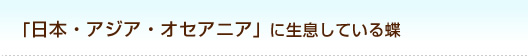 日本・アジア・オセアニアに生息している蝶